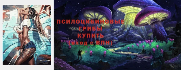 ешки Сафоново