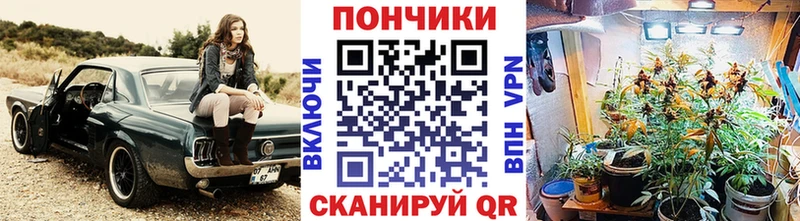 Каннабис конопля  нарко площадка наркотические препараты  Старая Купавна  где найти наркотики 